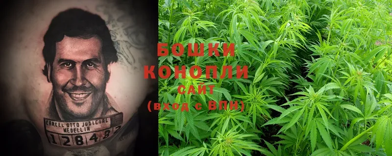 МАРИХУАНА Ganja  Городовиковск 